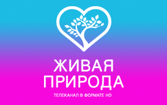 shiv_priroda.png shiv_priroda.png
