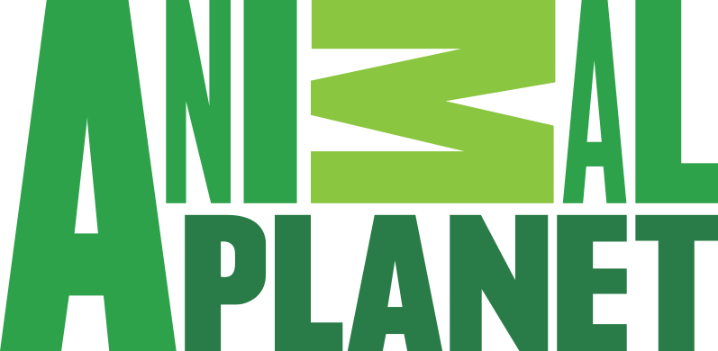 797px-Animal_Planet_logo.svg.png 797px-Animal_Planet_logo.svg.png
