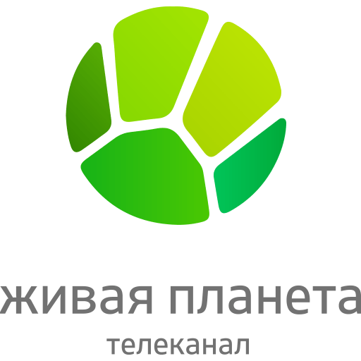 logo234.png logo234.png